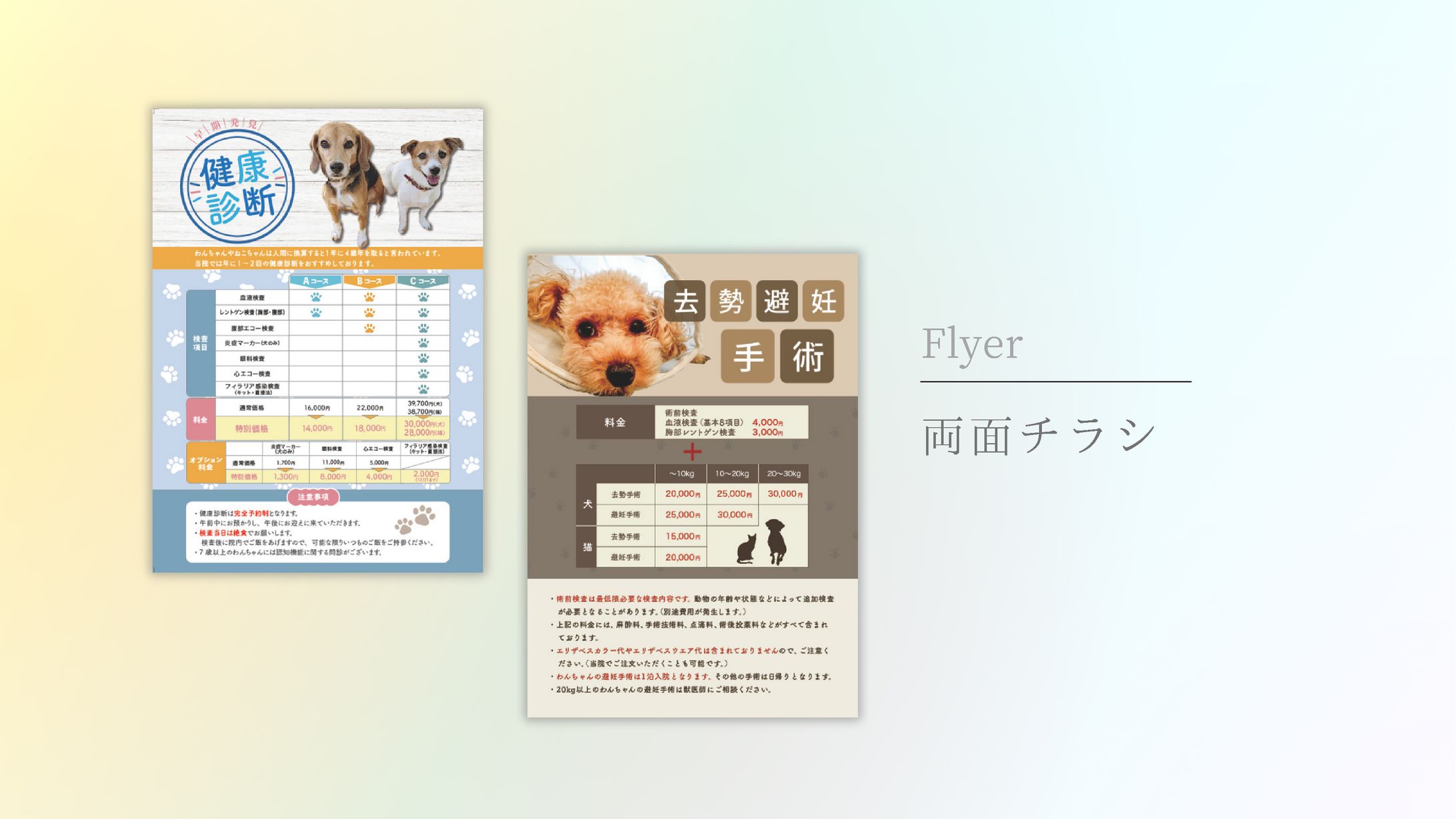 両面チラシ-1