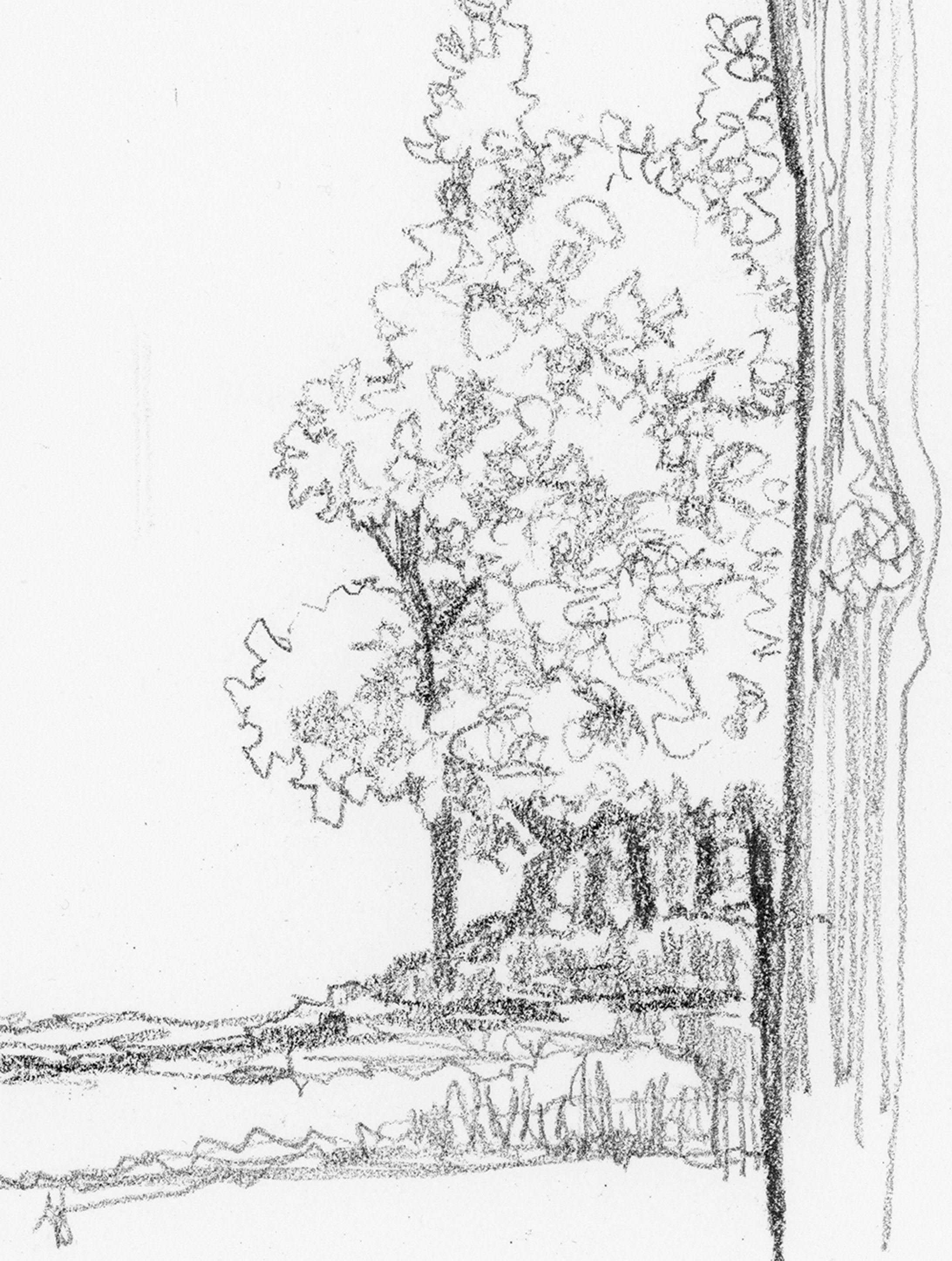 street sketch-1