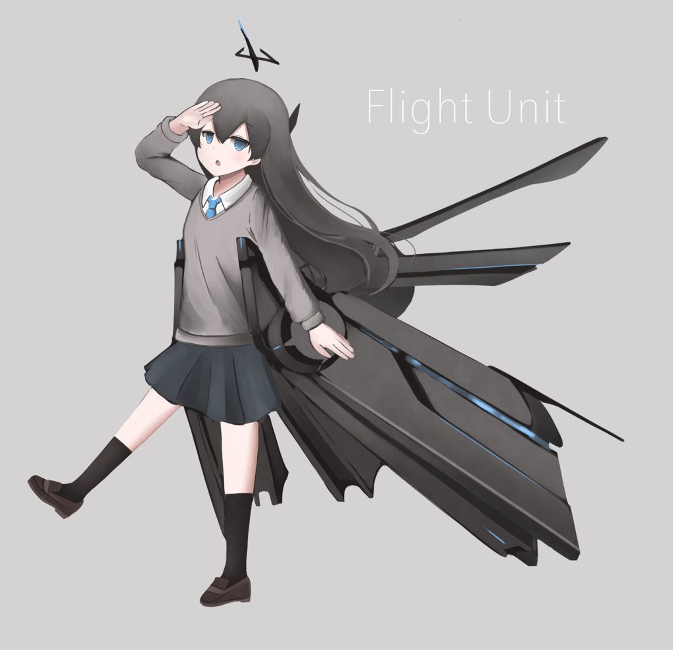 Flight Unit-1