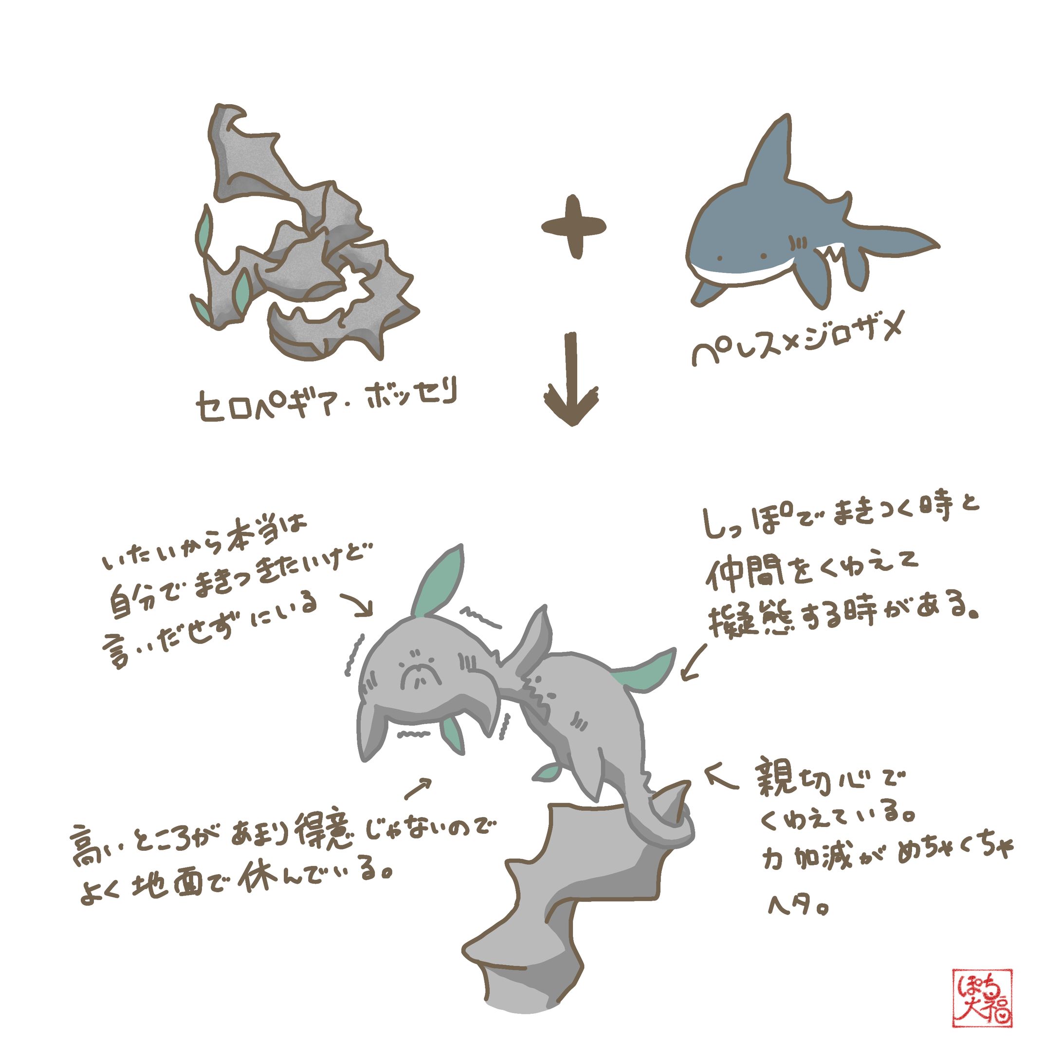 セロペギアボッセリ×ペレスメジロザメ-1