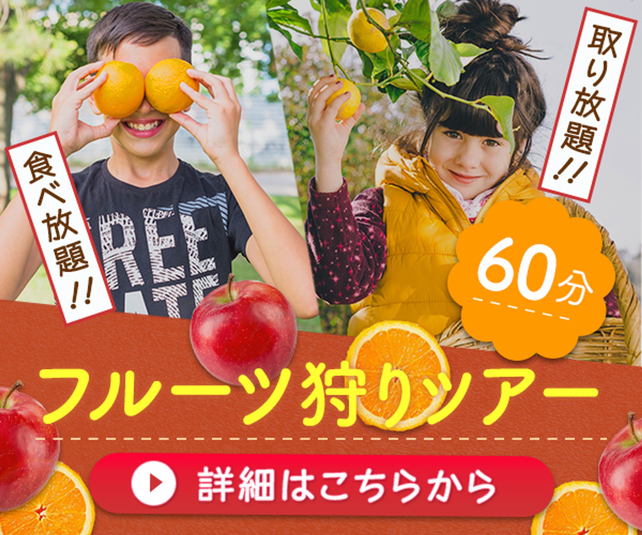 バナー：フルーツ狩りツアー-1
