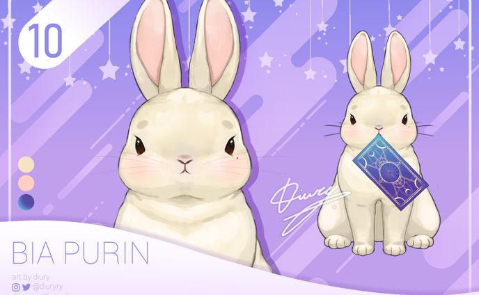 10- Bia bunny showcase