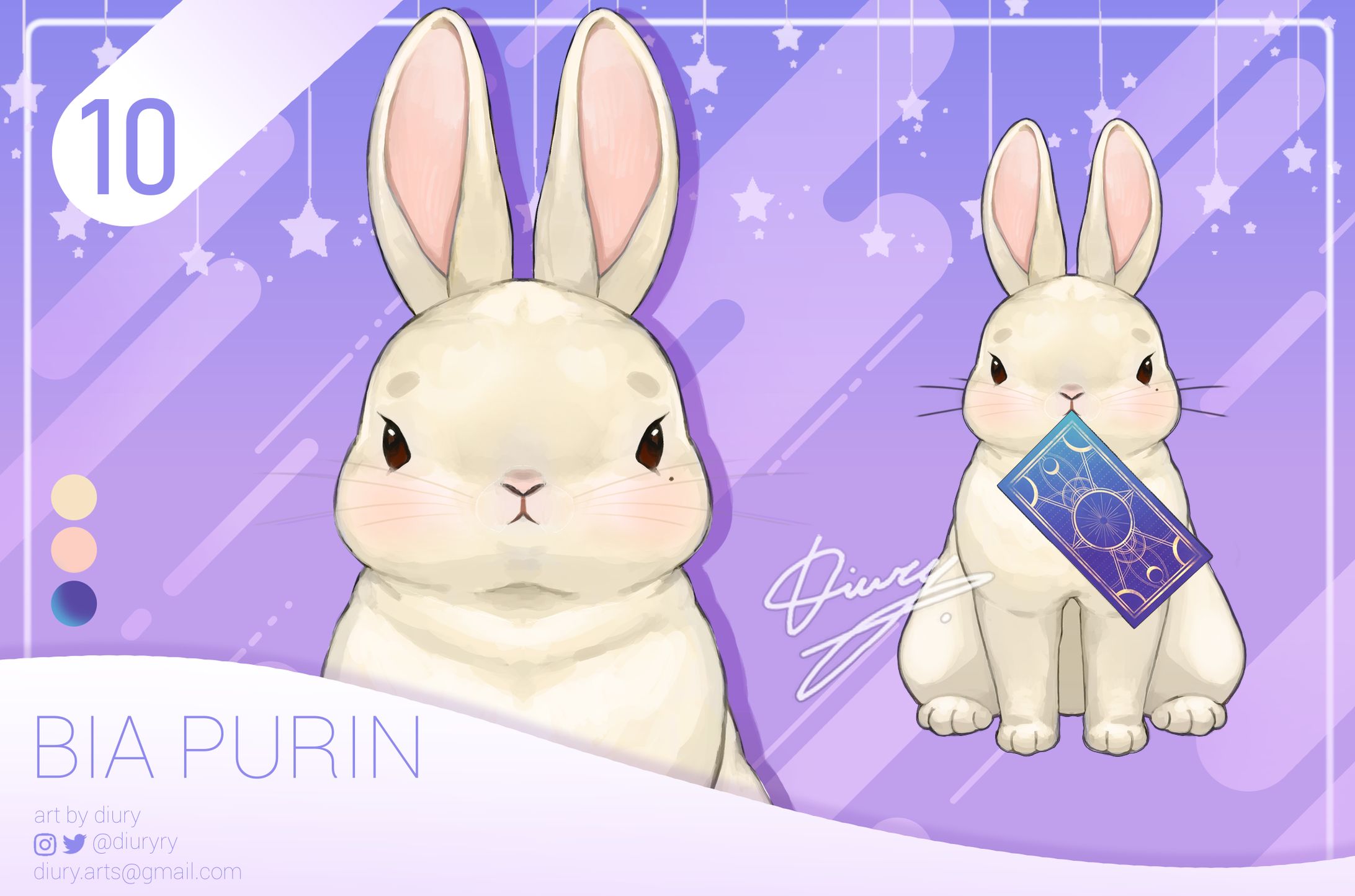 10- Bia bunny showcase-1