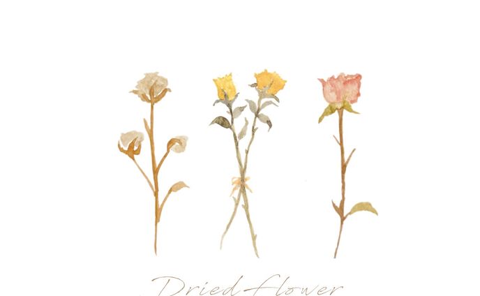 透明水彩 花イラスト