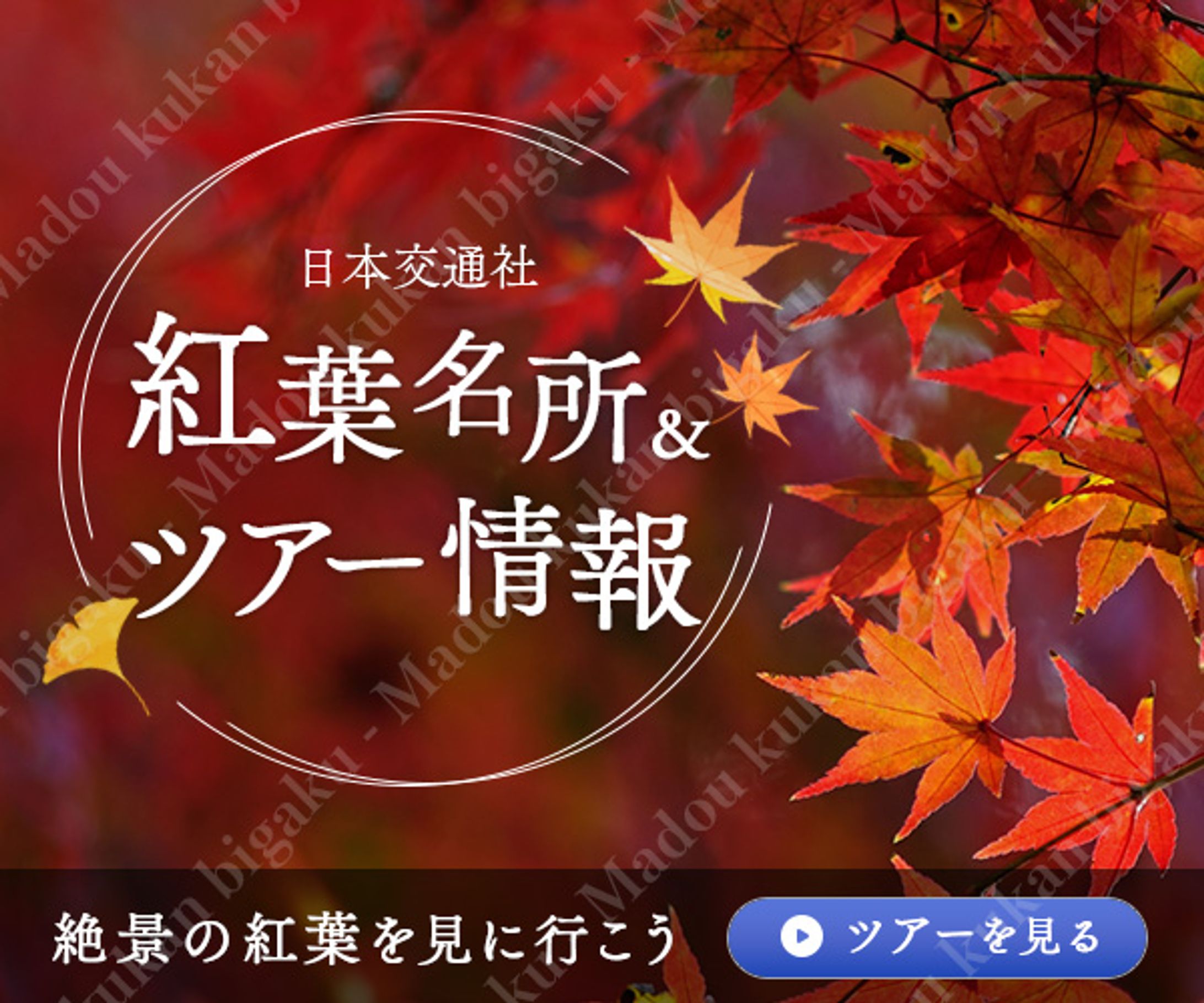 バナー：紅葉ツアー-1