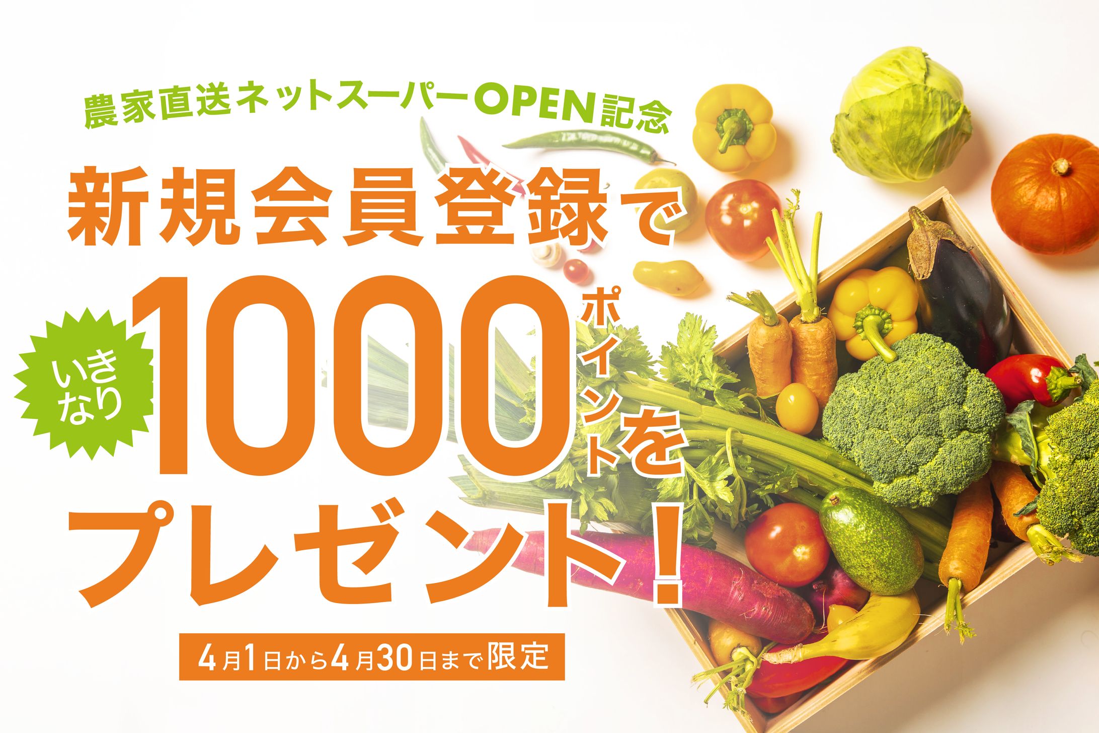 産地直送ネットスーパーOPEN記念バナー-1