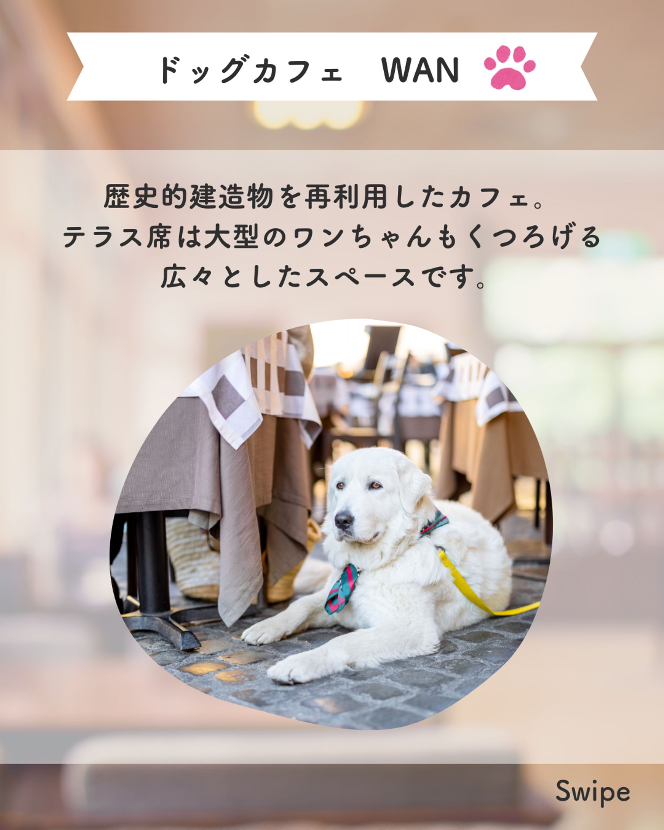 Instagramフィード投稿用画像-1