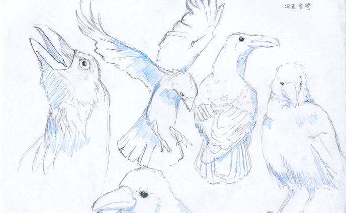 写真参考８（鳥）