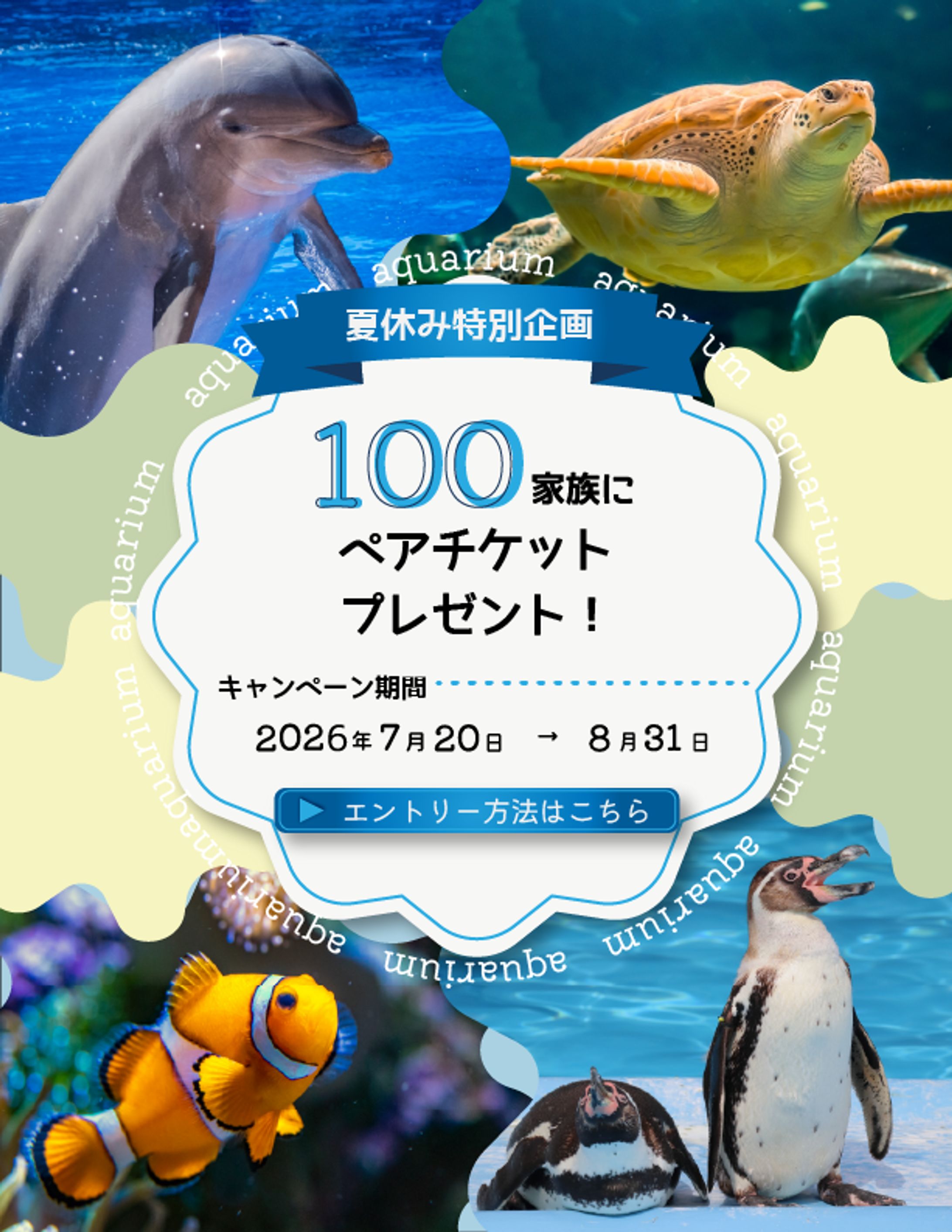 水族館広告バナー-1