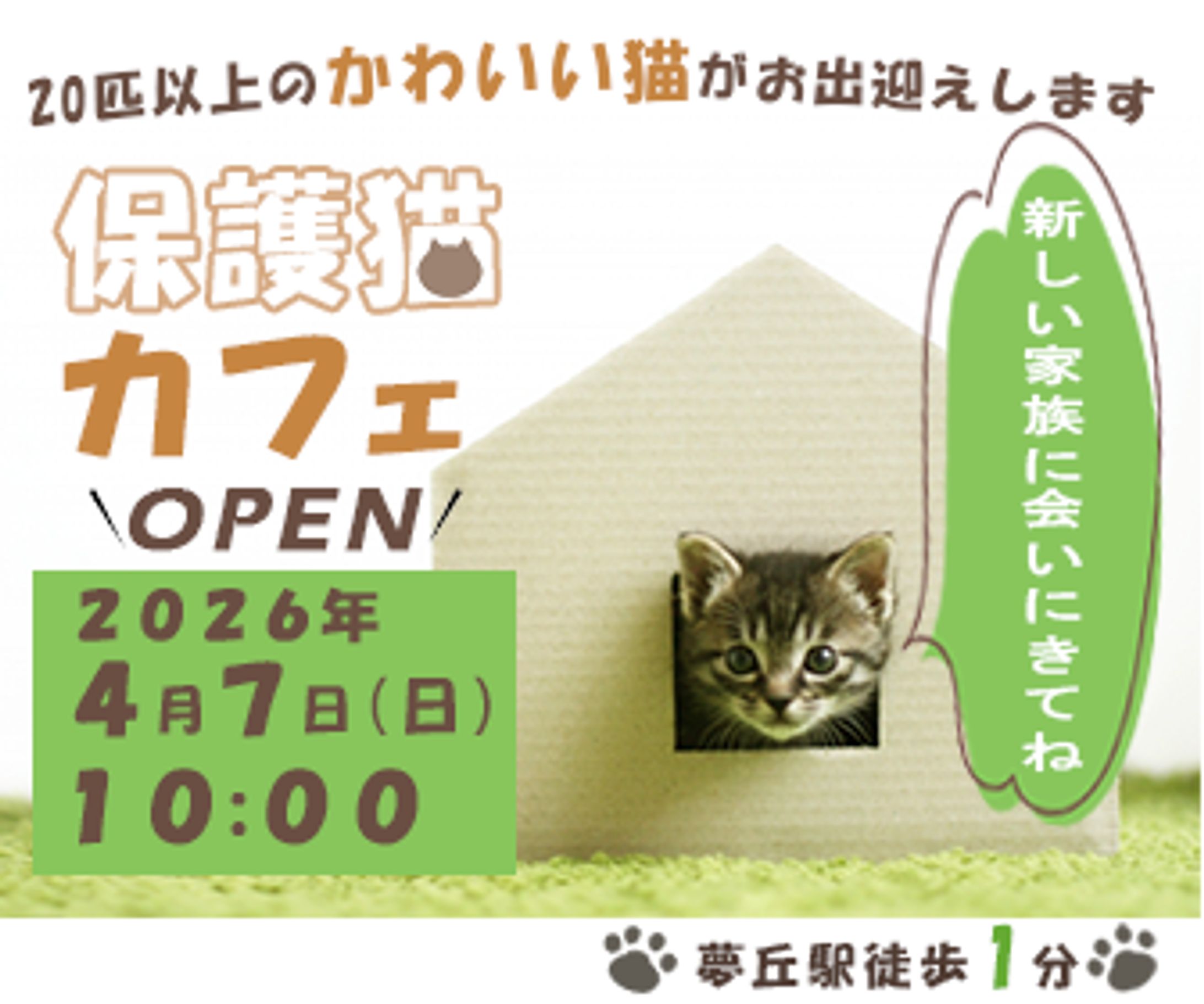 保護猫カフェオープン（架空）-1