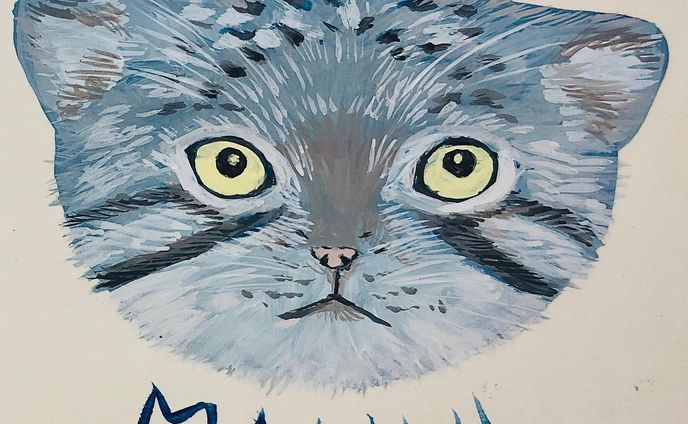 #世界マヌルネコの日  #マヌルネコ  #illustration  #アナログイラスト  #animal  #manul