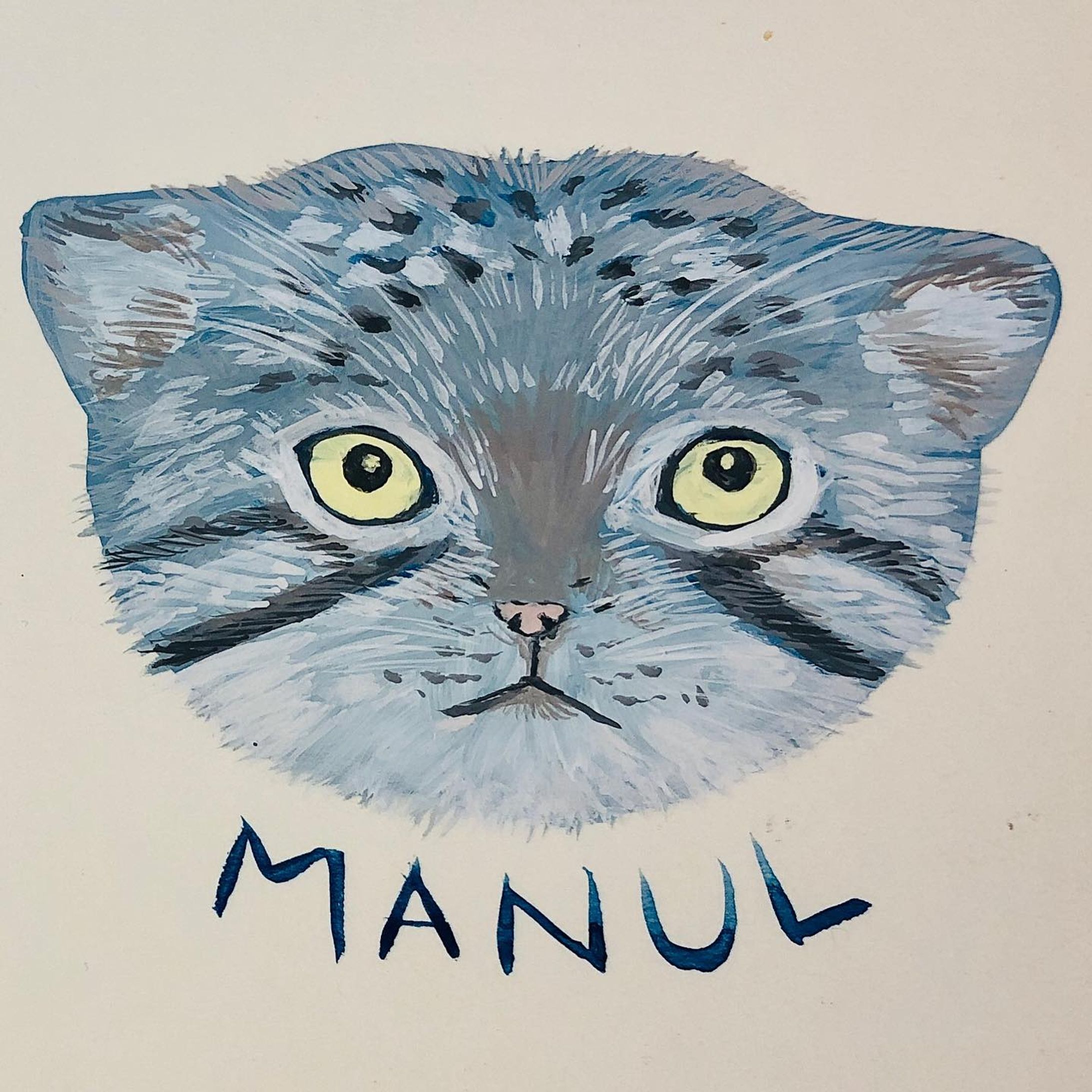 #世界マヌルネコの日  #マヌルネコ  #illustration  #アナログイラスト  #animal  #manul-1