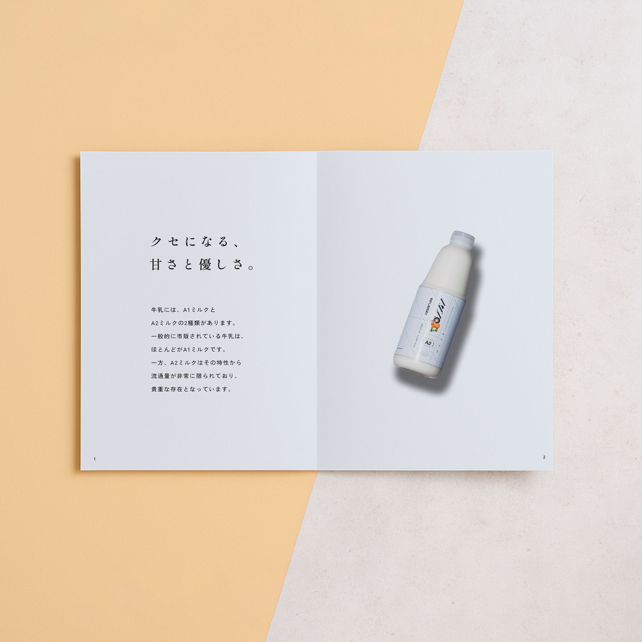 ARVO 商品カタログ-1