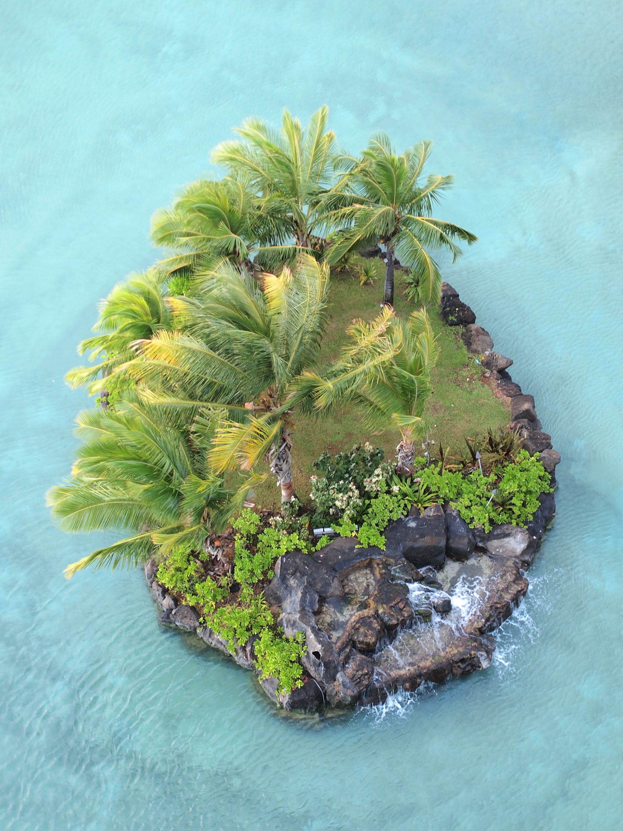 Hawaii-1