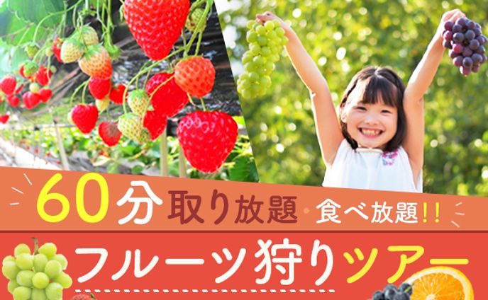 バナー：フルーツ狩りツアーバナー