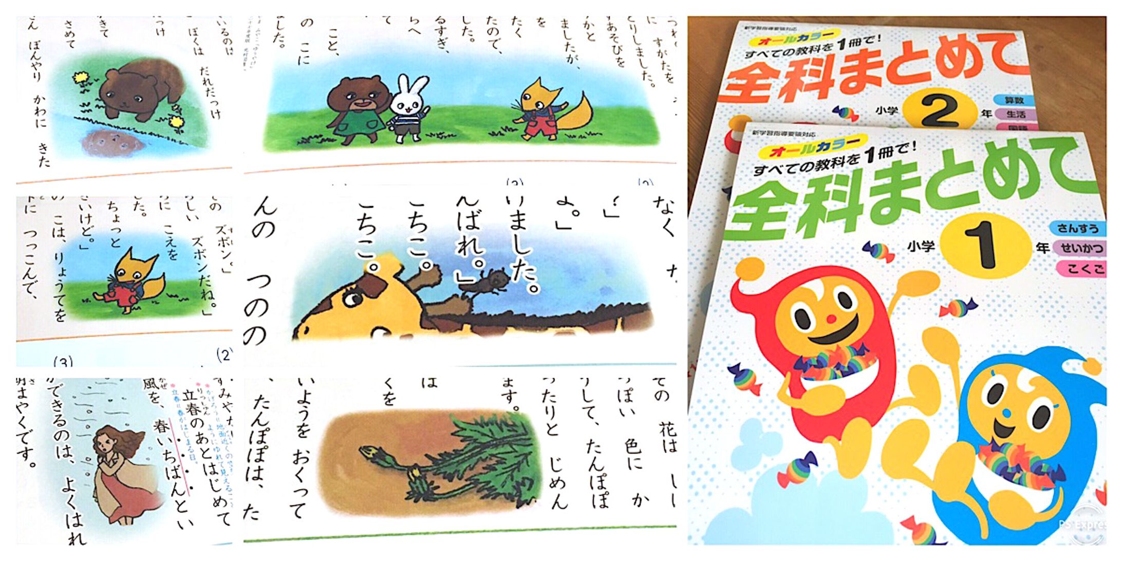 2019年2月：教材『全科まとめて1年・2年』（挿絵）（文理）-1