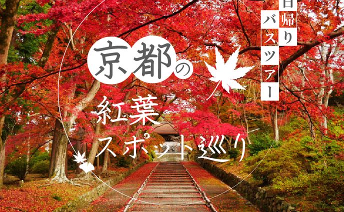 series、観光