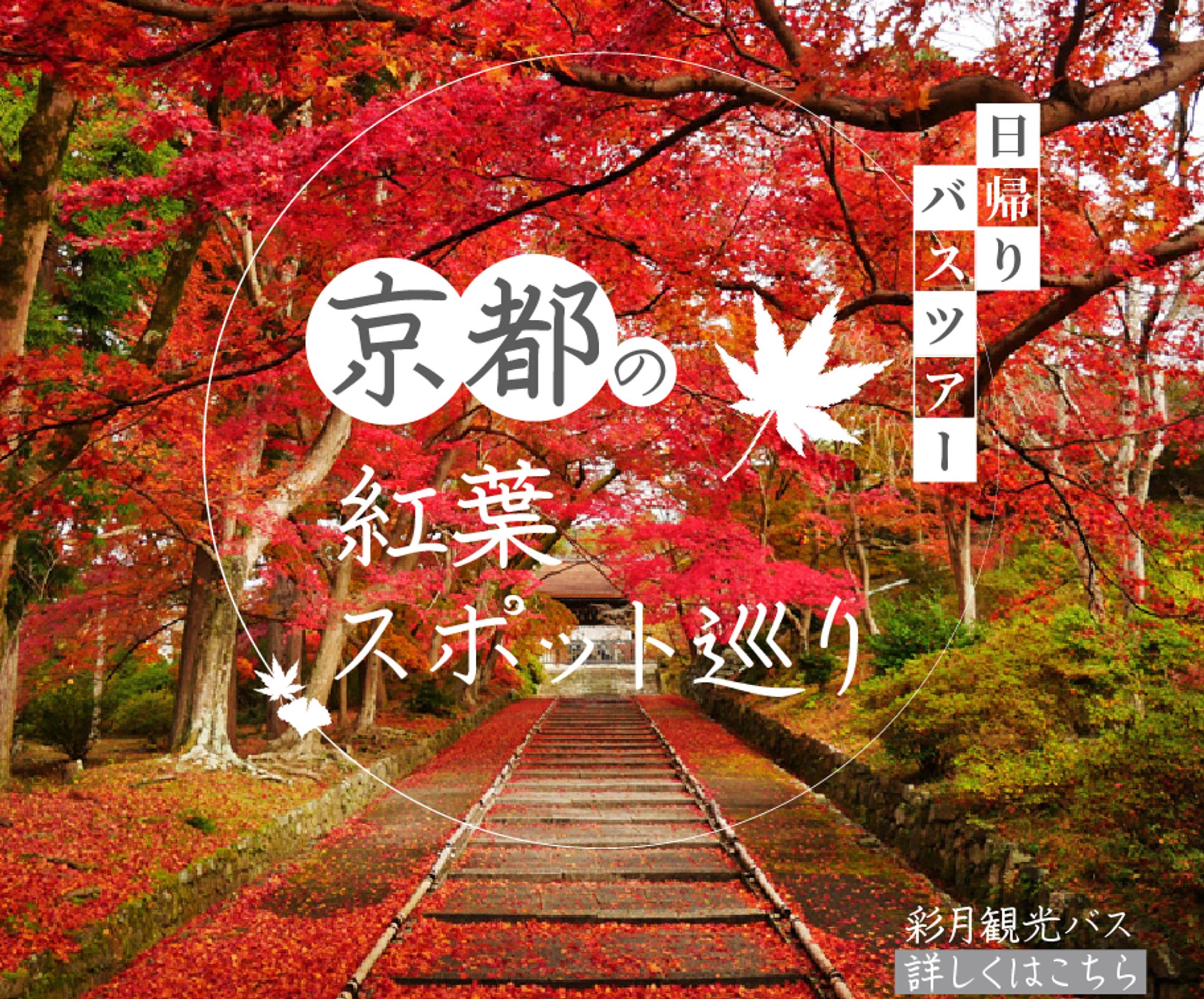 観光-1
