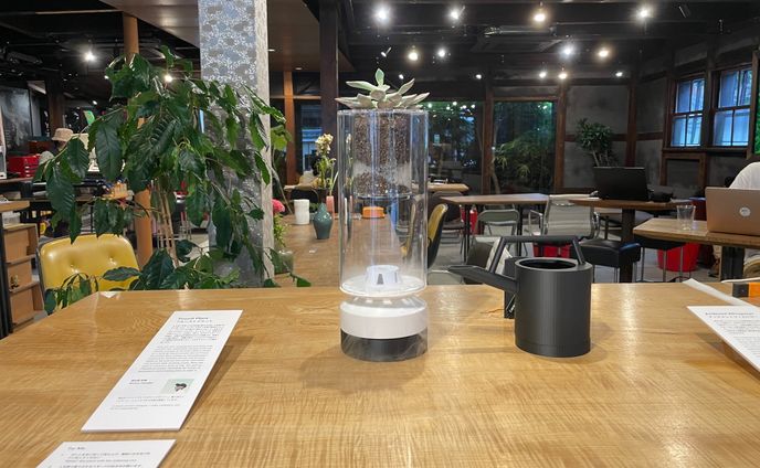 Proust Plant（2024）