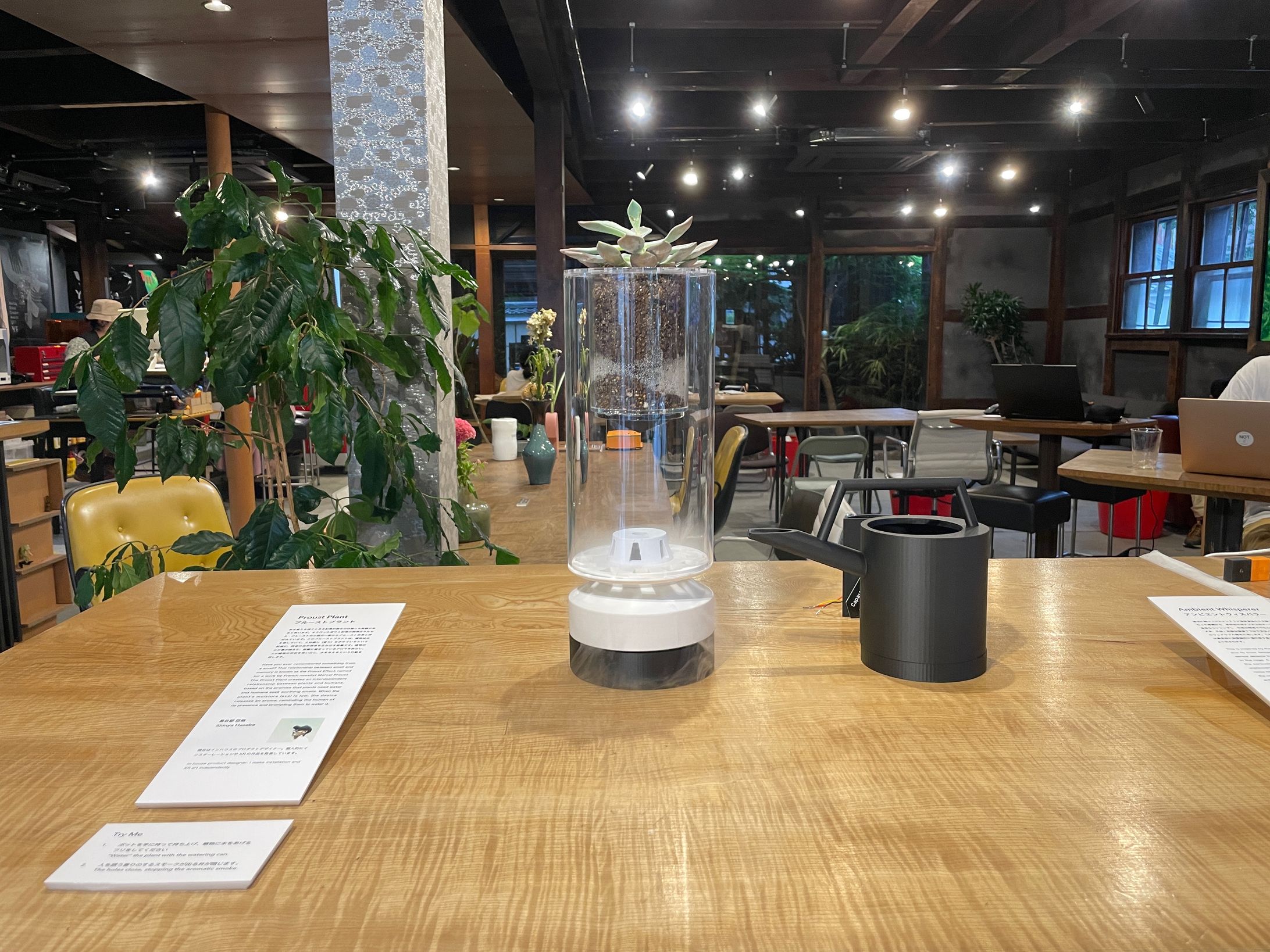 Proust Plant（2024）-1