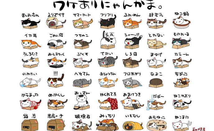 ワケありにゃんかま。