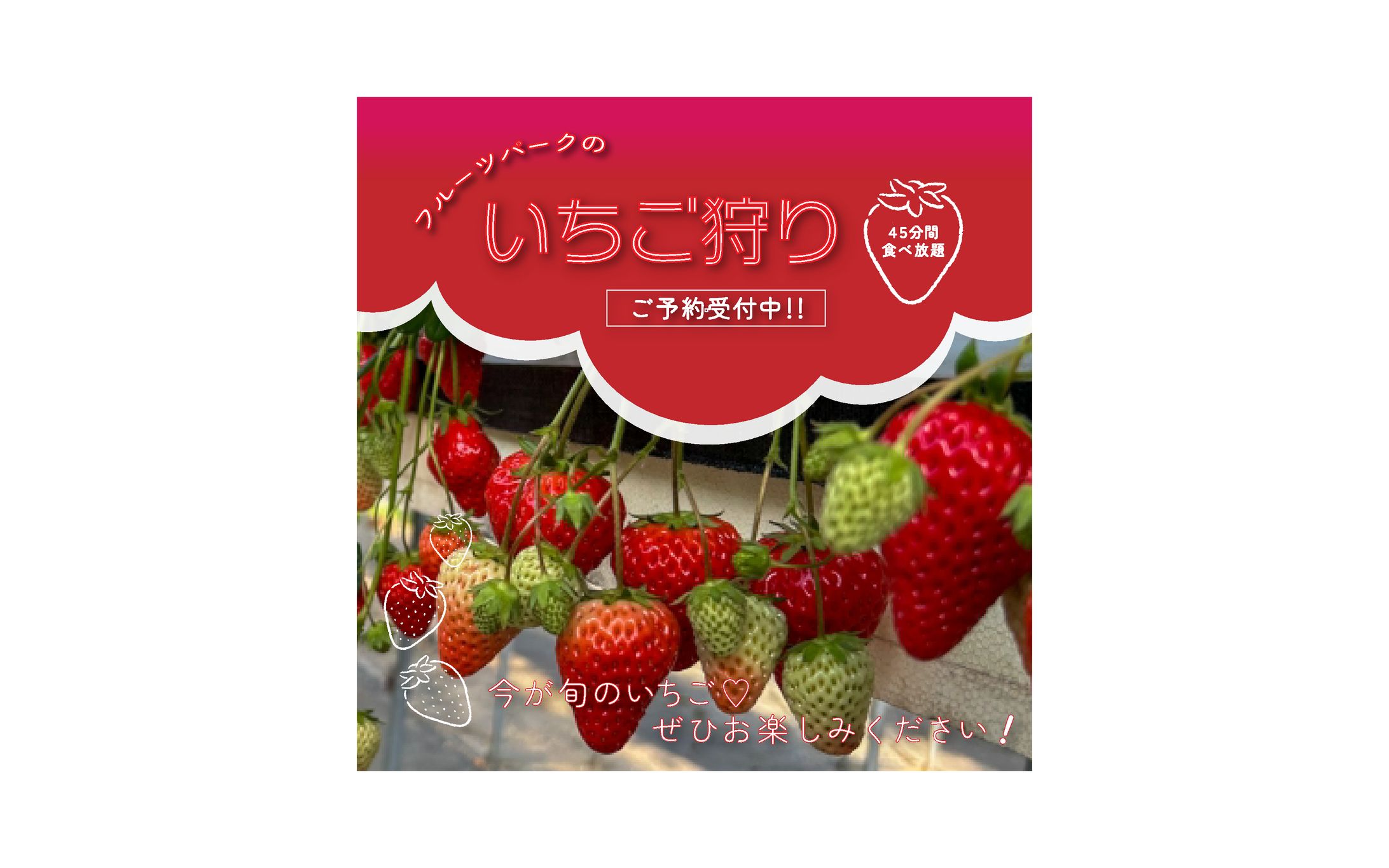 【バナー】イチゴ狩り-1