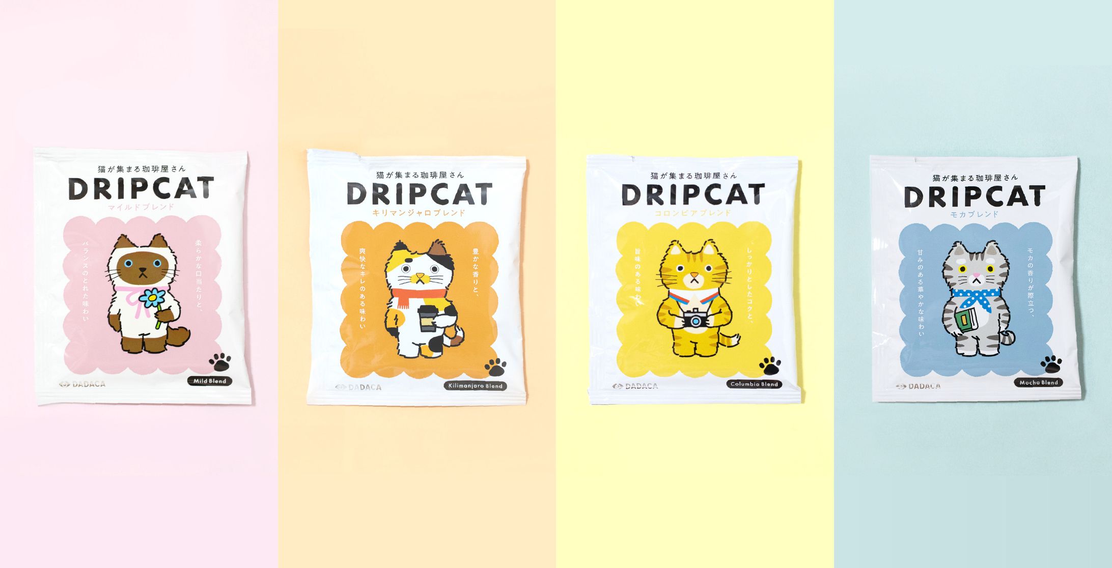 【その他】写真-1