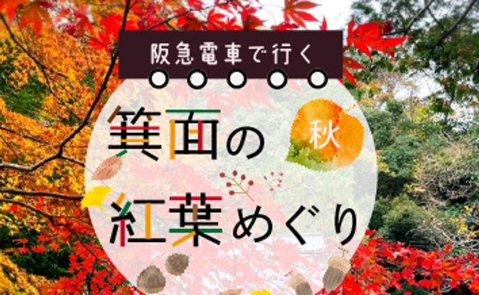 バナー：紅葉めぐり