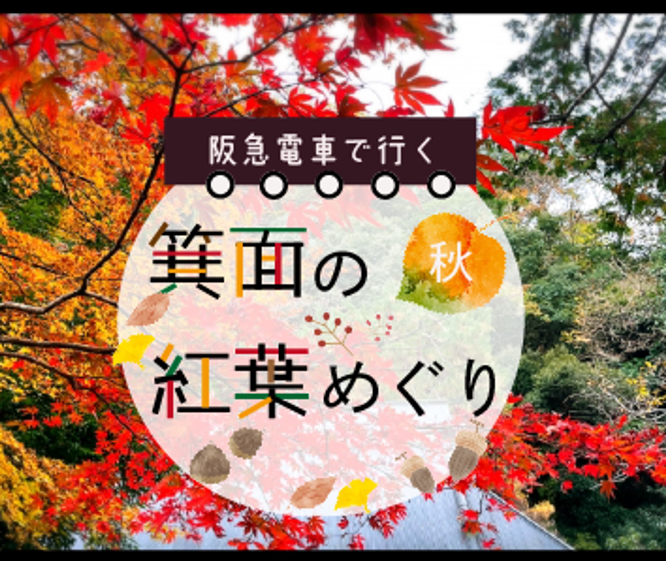 バナー：紅葉めぐり-1
