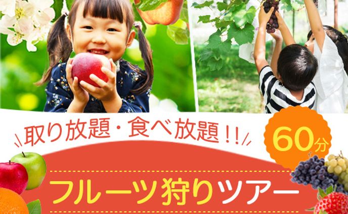 フルーツ狩りツアー