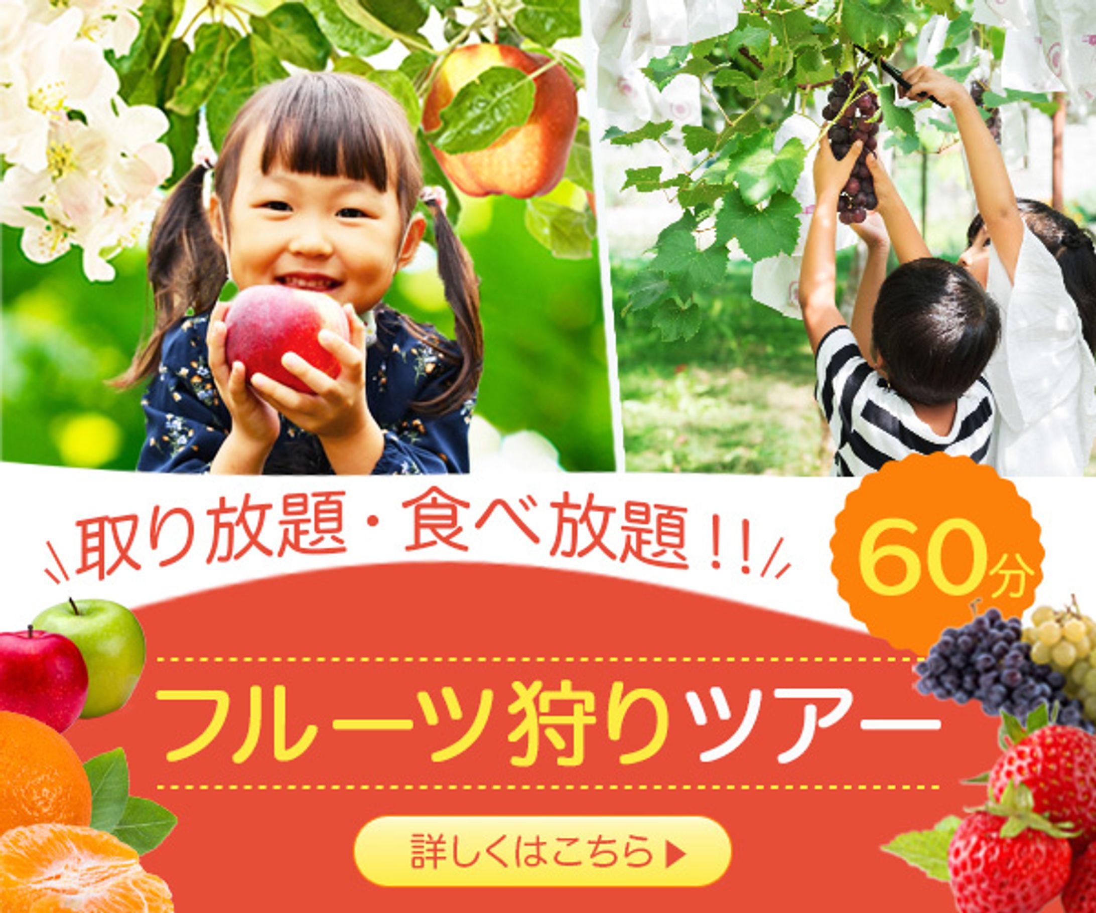 フルーツ狩りツアー-1