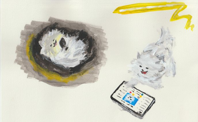 Internet inu