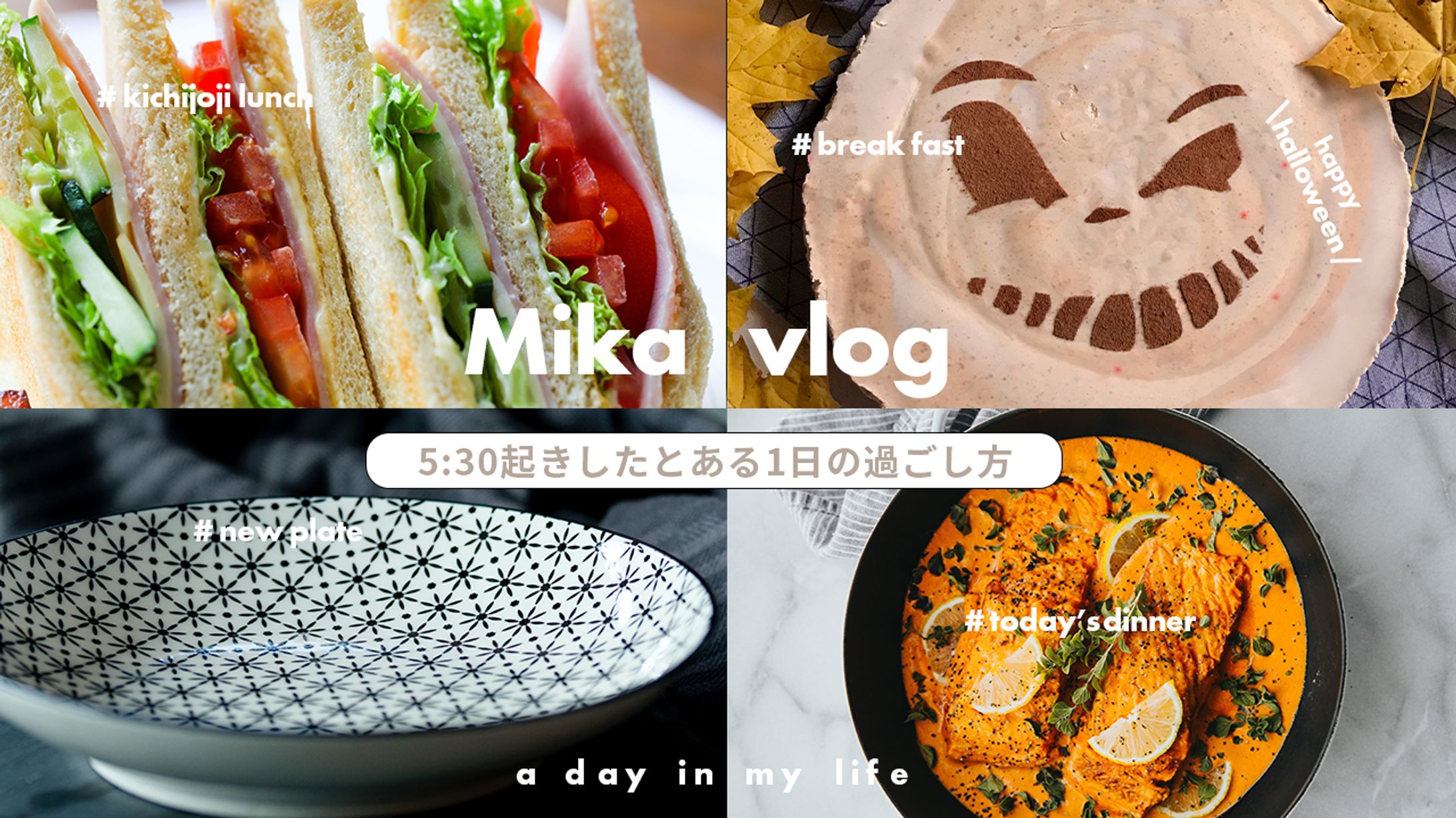 vlog 1-1