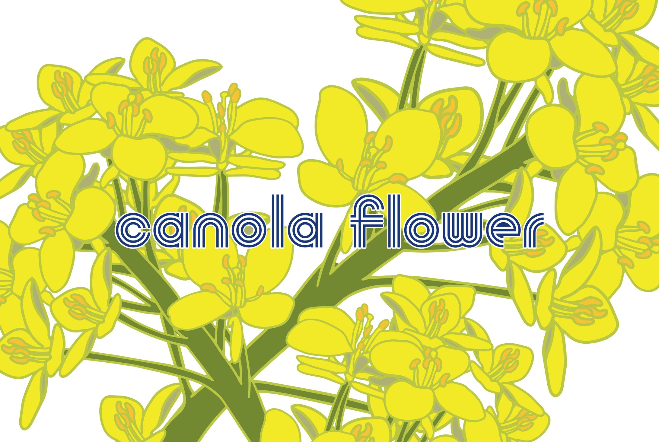 菜の花　Illustrator-1