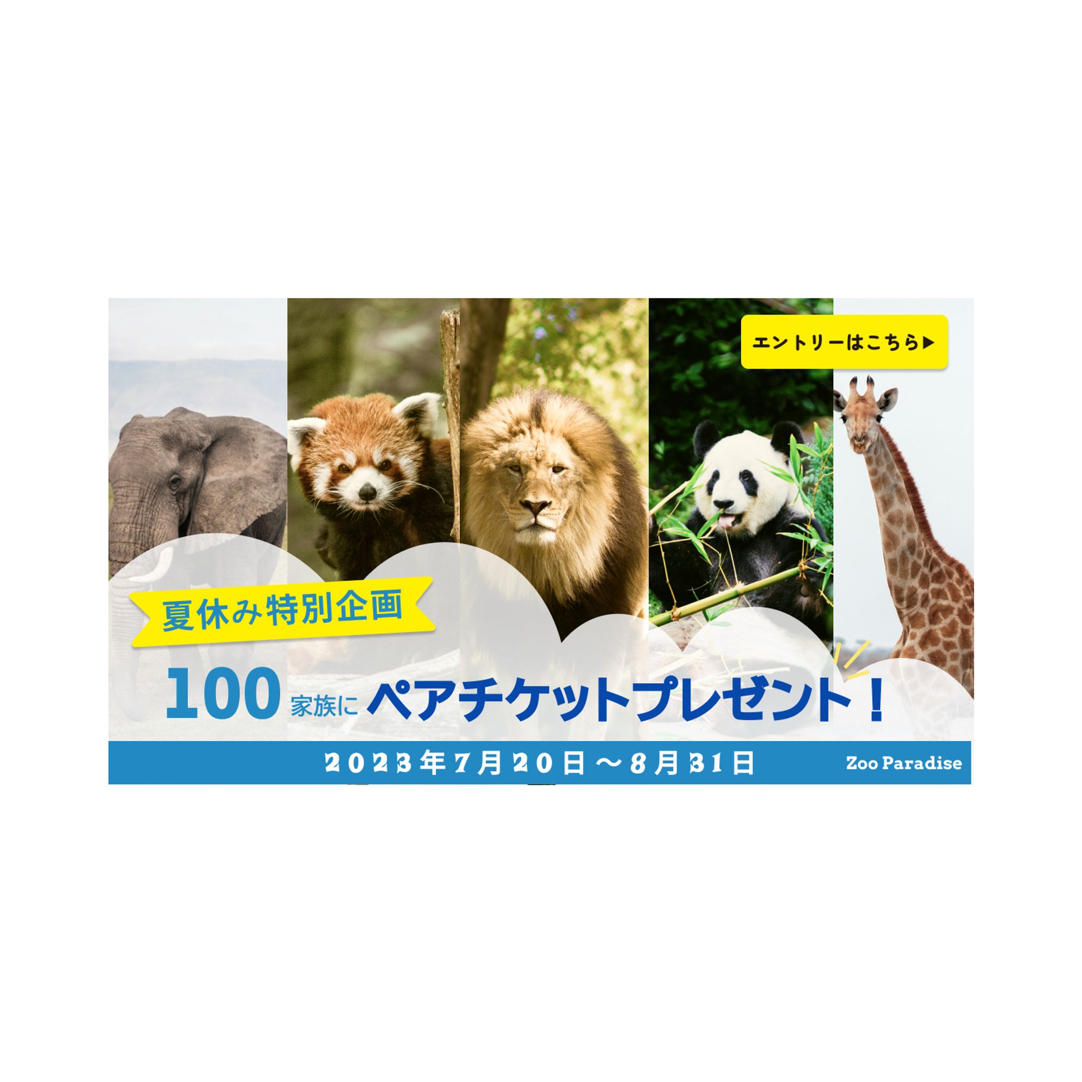 【バナー】動物園-1