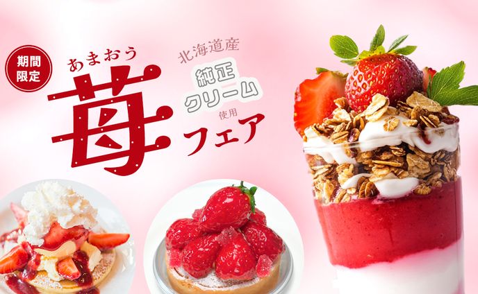 バナー、ドルファミ
