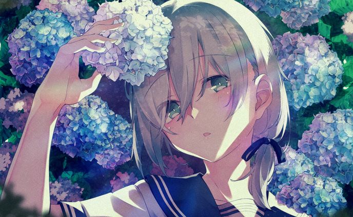 紫陽花