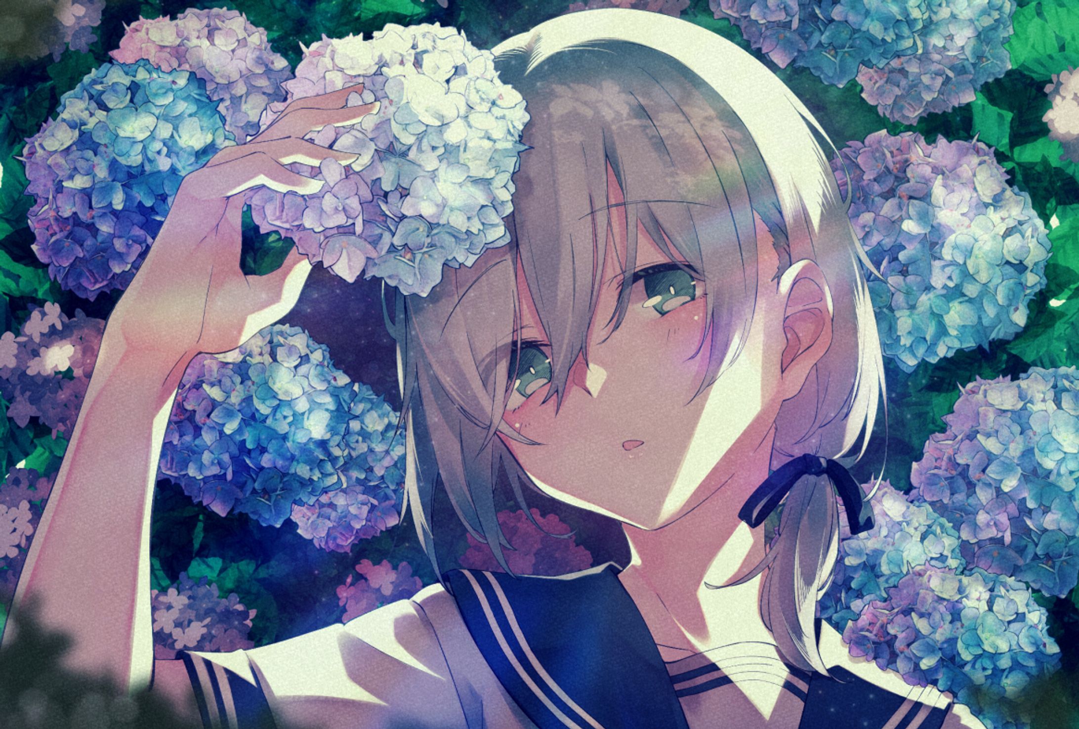 紫陽花-1