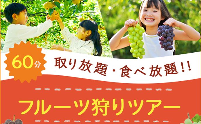 フルーツ狩りツアー