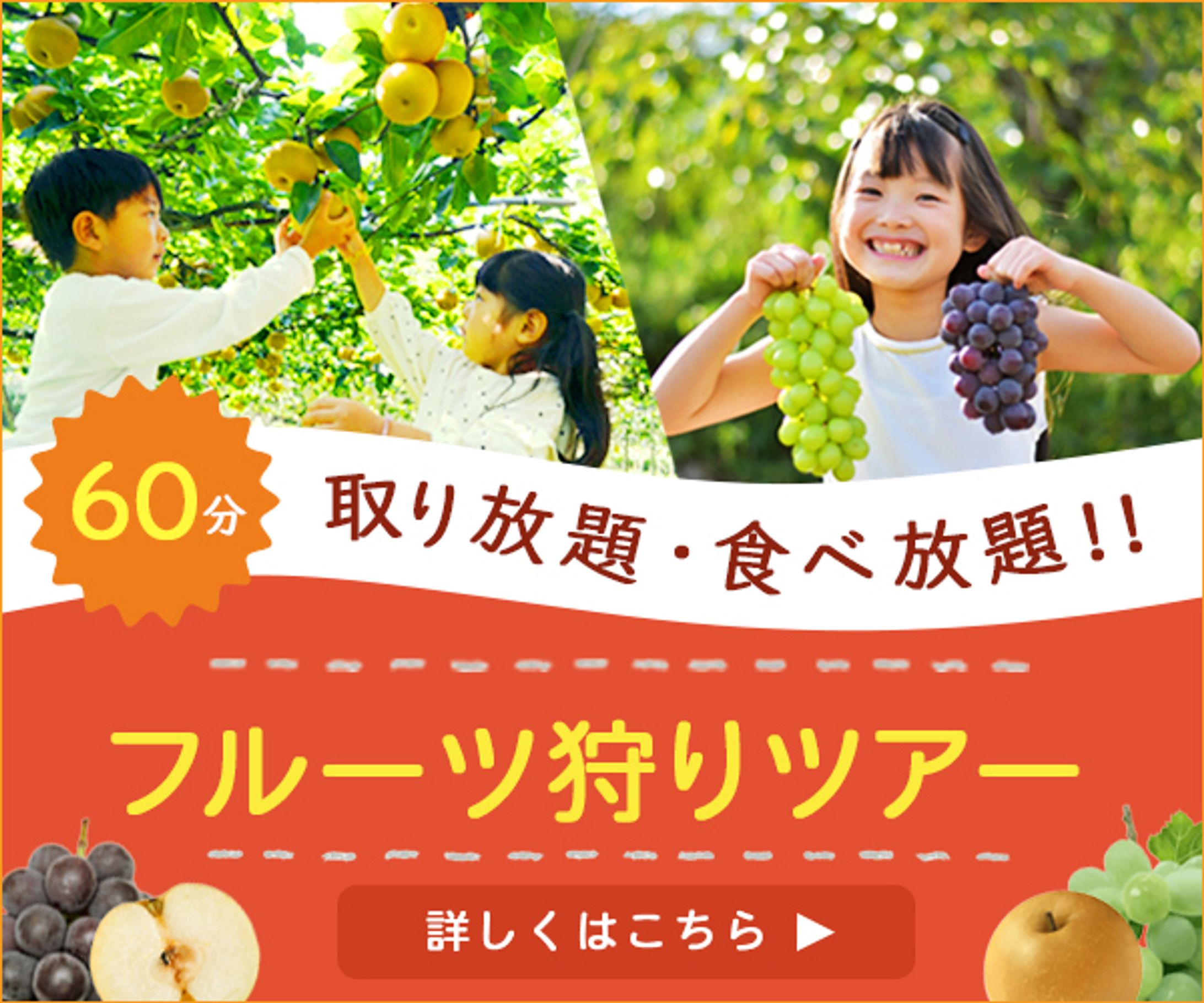 フルーツ狩りツアー-1