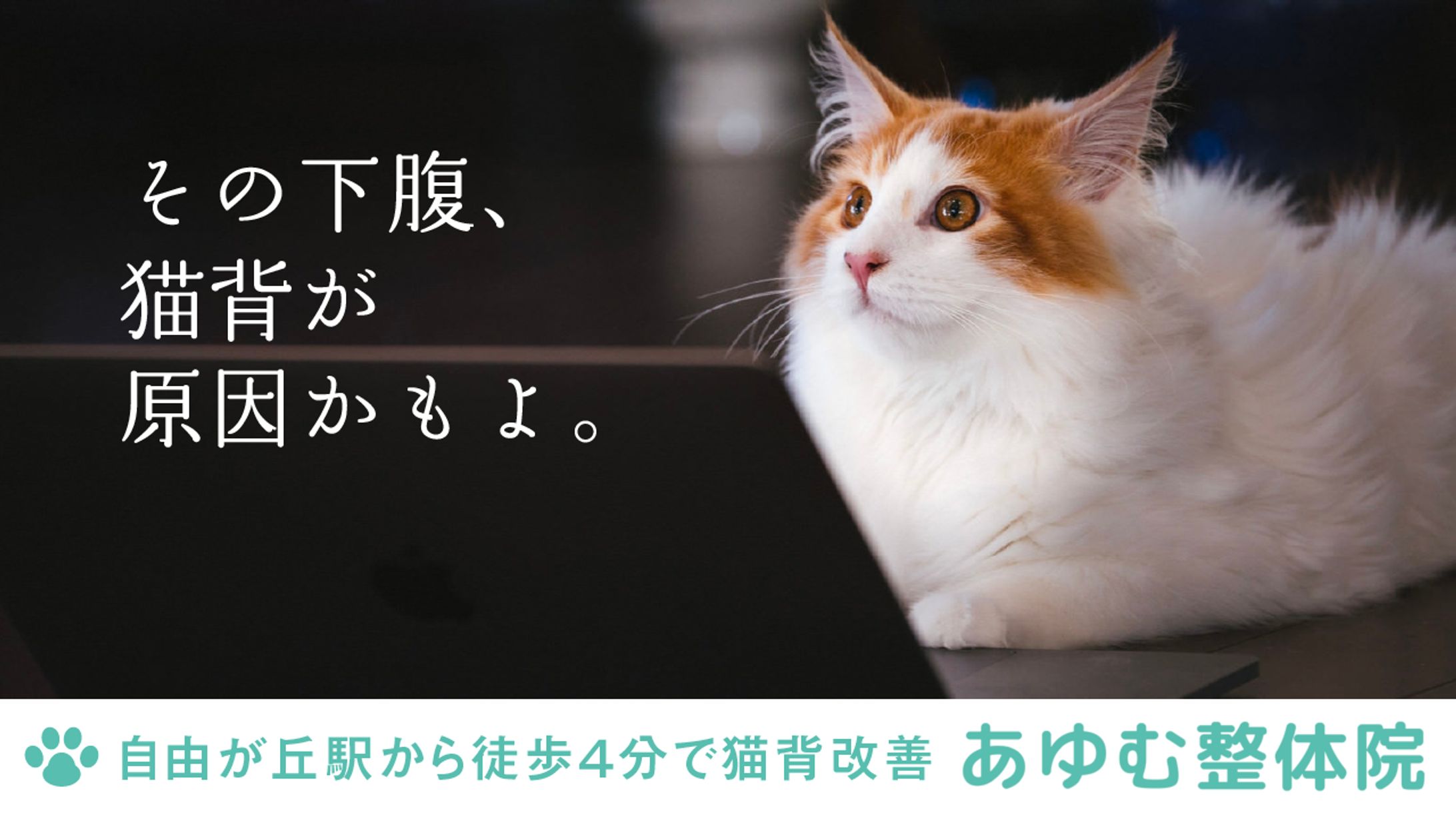自由が丘あゆむ整体院-1
