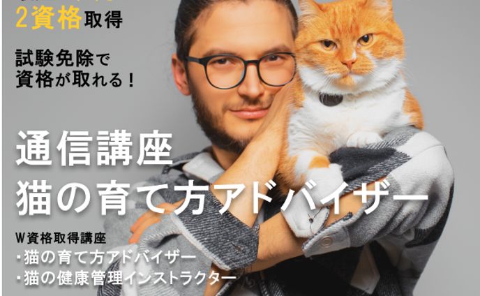 ファッションデザイナー、サービス