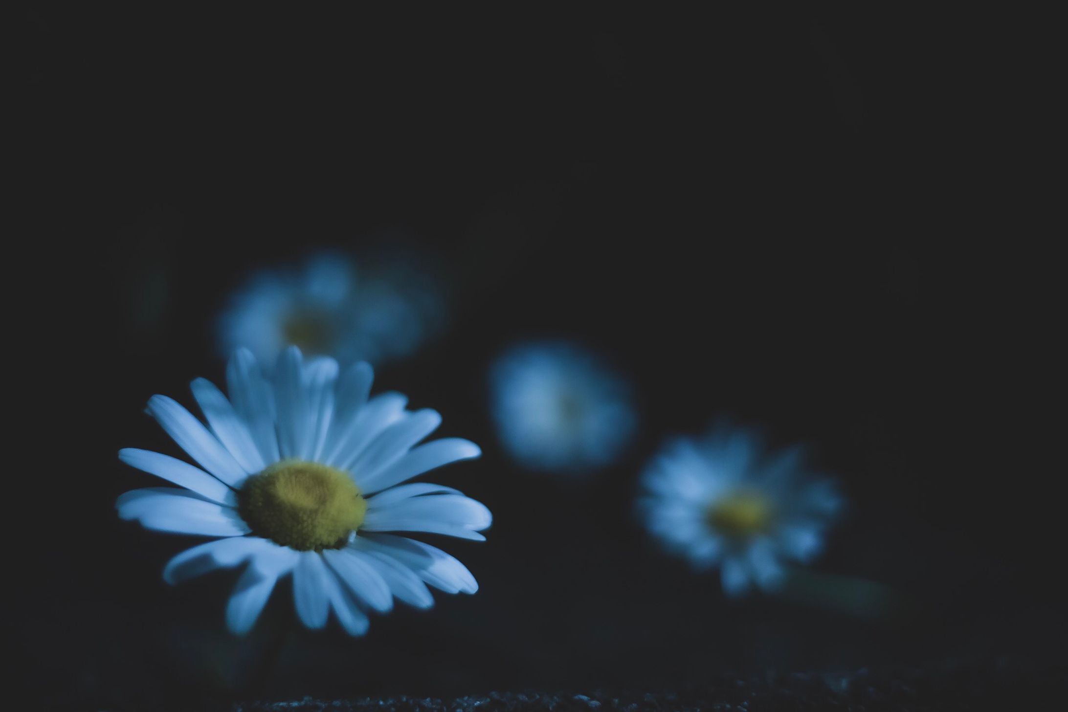 insomnia-1