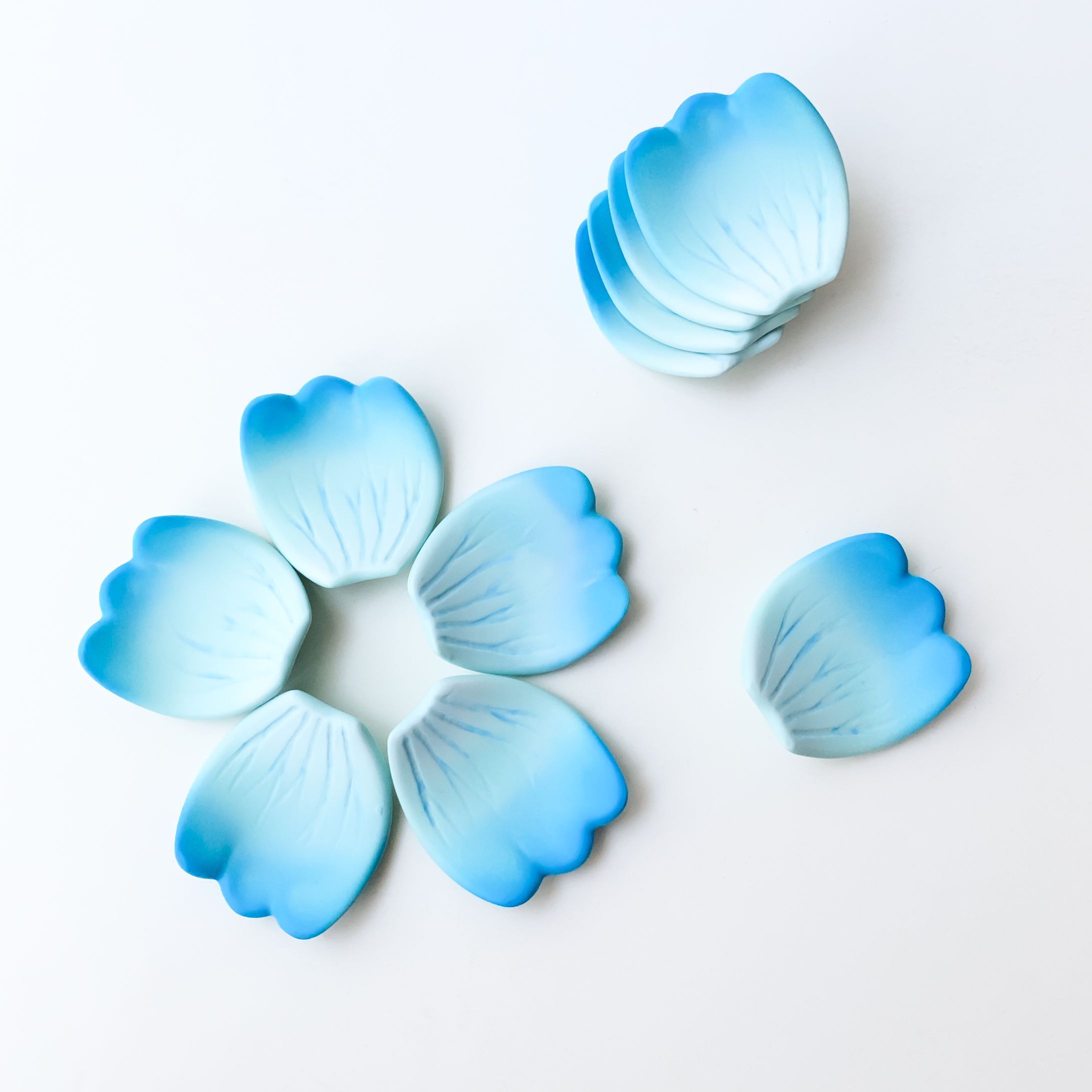 水色の花弁-1