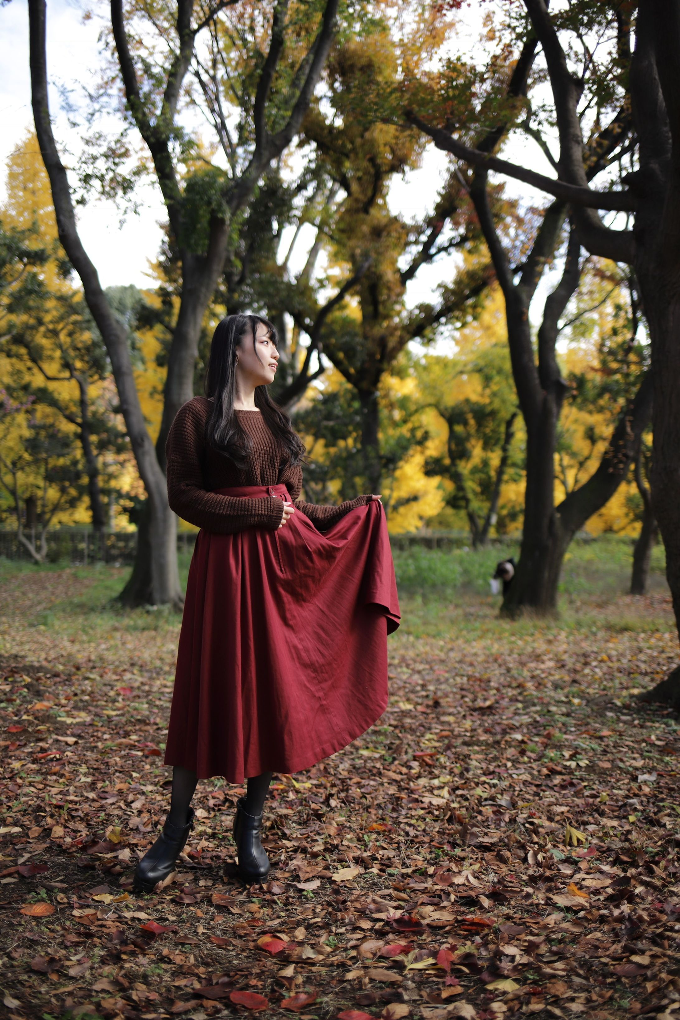 Autumn Fairy-1