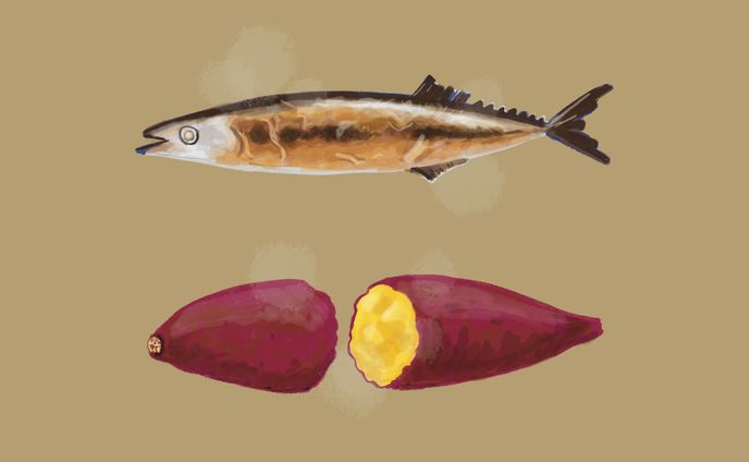 イラストレーション、資料