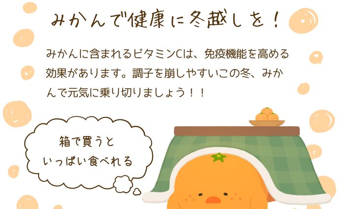 季節の果物