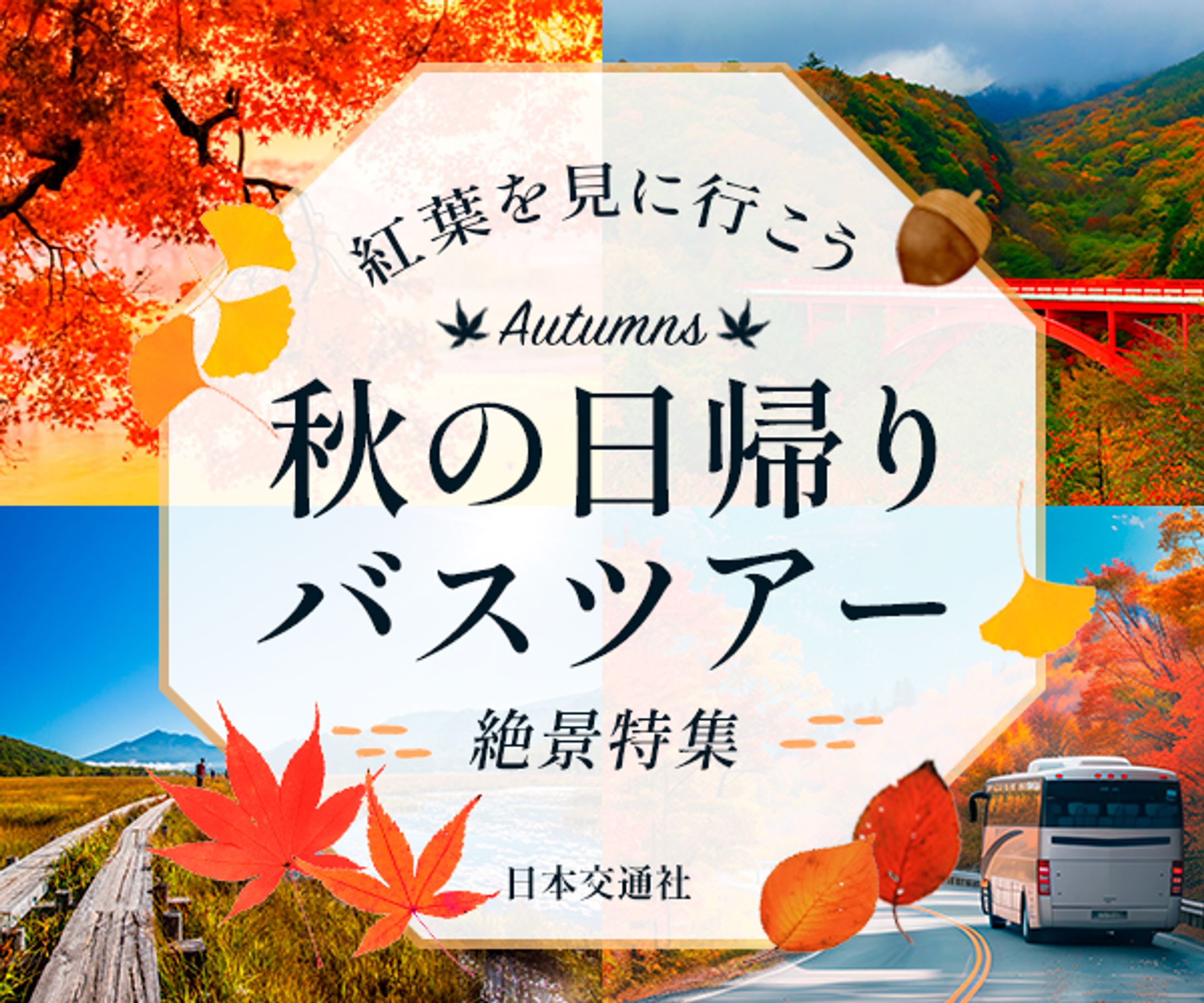 バナー_バスツアー-1