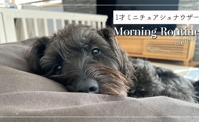YouTubeサムネイル９