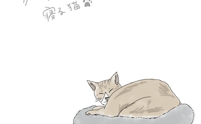 飼い猫のイラストを制作しました。